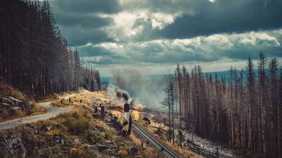 A steam train traveling through misty Harz forest with storm clouds overhead