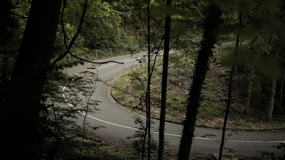 A paved road bending through dense green forest